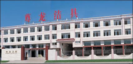 尊龍衛(wèi)浴 廚具衛(wèi)具一體化選購指南，打造健康高效的家居空間